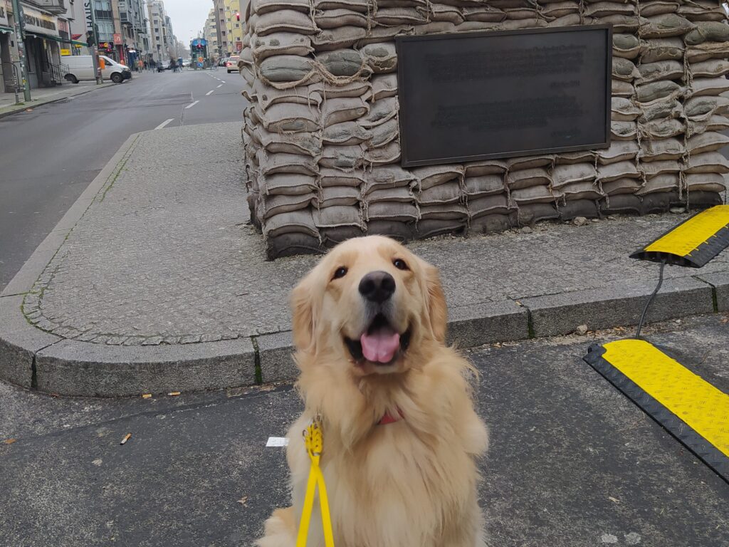 Ben (mi perro) en checkpoint charlie.